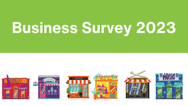 Survey Image Survey Image